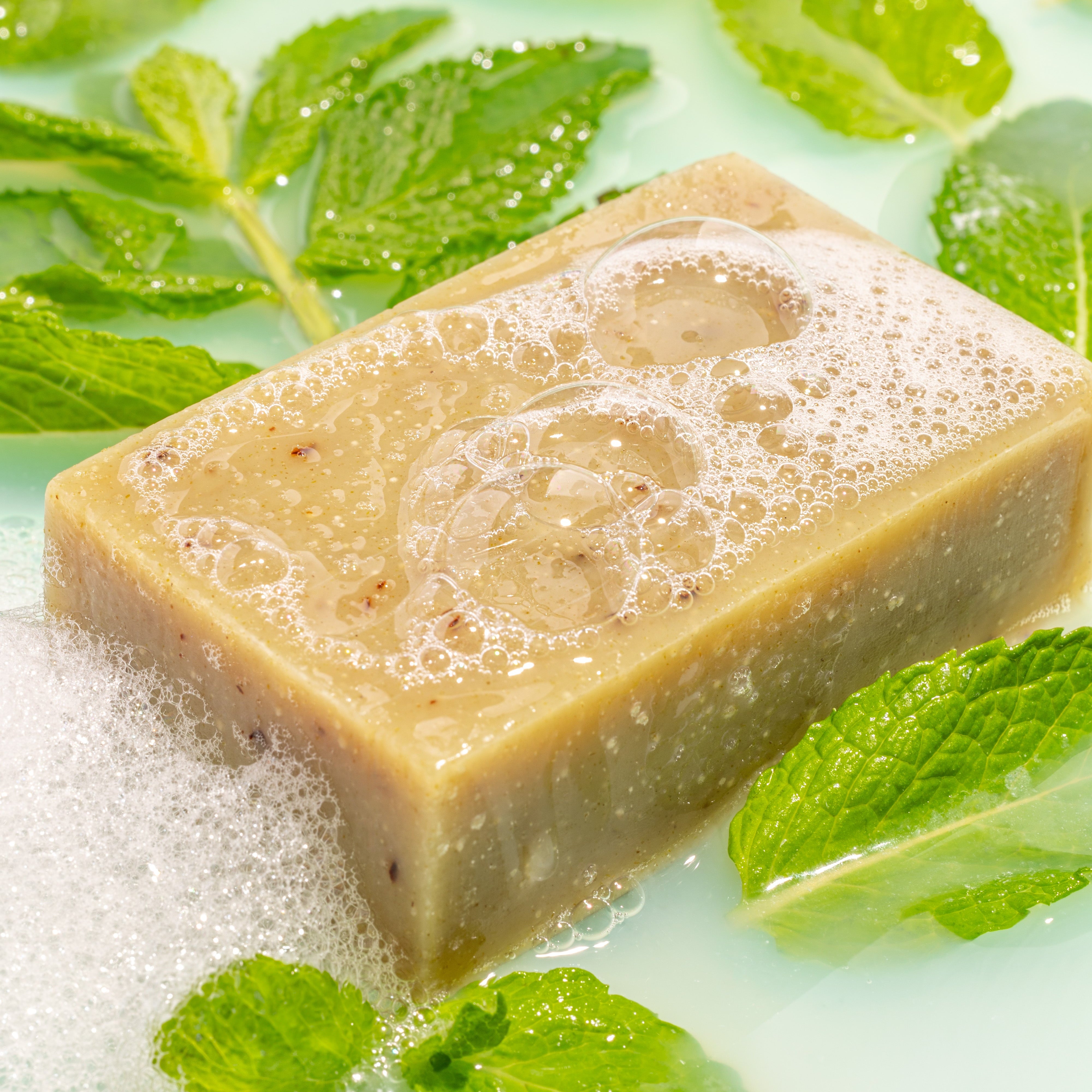 Bar of soap with green leaves on a light background
